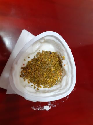 떠먹는불가리스 마이플레인 요거트 435g 6개입 — 5점을 준 리뷰어가 2021년 3월 올린 사용 사진