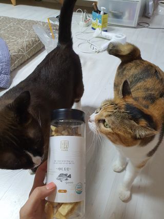 쮸동비님이 올린 리뷰 사진 4