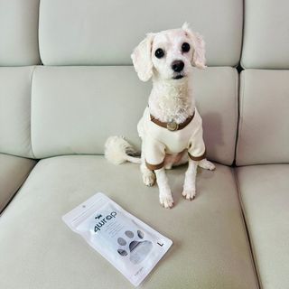 가드니아님이 올린 리뷰 사진 3