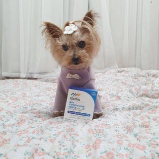 솜희님이 올린 리뷰 사진 2