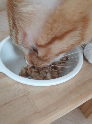 미히님이 올린 리뷰 사진 4