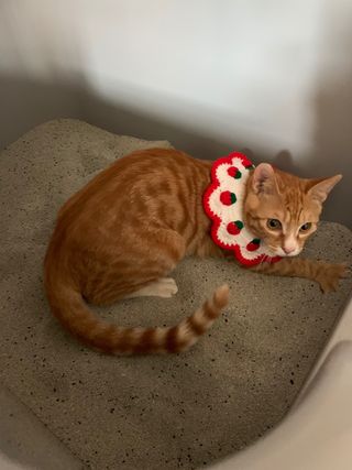 olhh님이 올린 리뷰 사진 3
