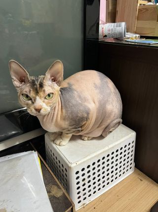 이아님이 올린 리뷰 사진 2