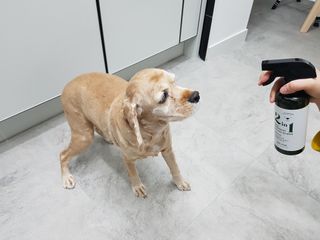 찬이애비님이 올린 리뷰 사진 3