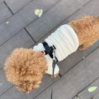 조이님이 올린 리뷰 사진 3