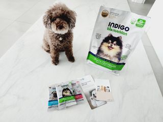 달콤오기님이 올린 리뷰 사진 1