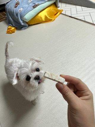돌돌이야님이 올린 리뷰 사진 3