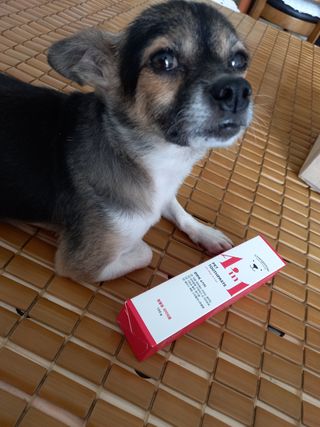 꽃수니어니님이 올린 리뷰 사진 1
