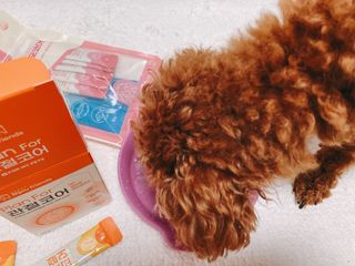 연이님이 올린 리뷰 사진 4