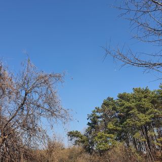 YoonJiwon님이 올린 리뷰 사진 1