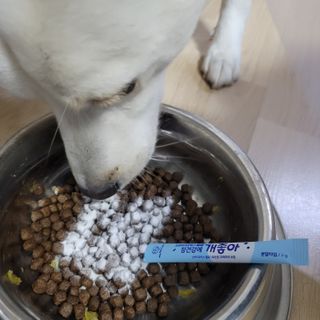 My Pet Care 장건강에 개좋아 — 5점을 준 리뷰어가 2021년 1월 올린 사용 사진