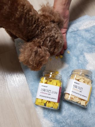 페페로니 진짜 프리바이오틱스 치즈+치즈고구마 180g+180g — 5점을 준 리뷰어가 2021년 7월 올린 사용 사진