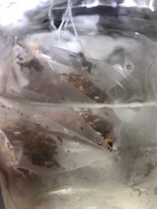 쭈또맘님이 올린 리뷰 사진 4