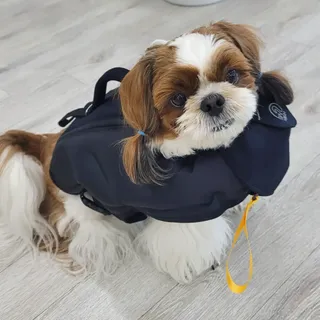 가루파랑님이 올린 리뷰 사진 4