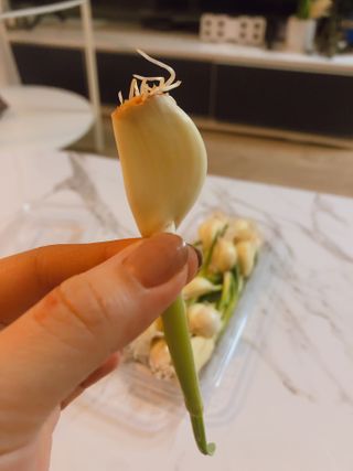 hoddong님이 올린 리뷰 사진 4