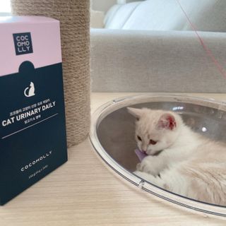 코코몰리 고양이 구강• 헤어볼 데일리 /신장• 요로 데일리 — 5점을 준 리뷰어가 2021년 1월 올린 사용 사진