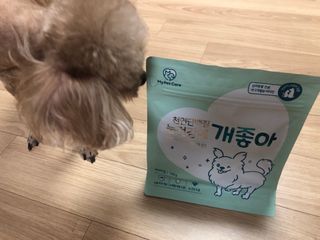My Pet Care 천연단백질 눈건강에 개좋아 — 5점을 준 리뷰어가 2021년 2월 올린 사용 사진