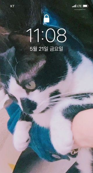 0.8L 마케팅팀 - — 5점을 준 리뷰어가 2021년 5월 올린 사용 사진