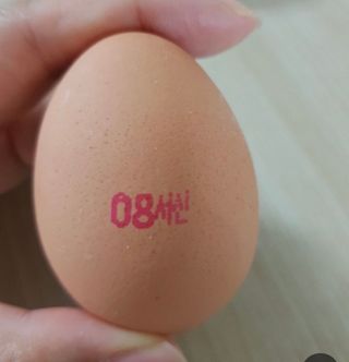 0.8L 마케팅팀 - — 5점을 준 리뷰어가 2021년 5월 올린 사용 사진