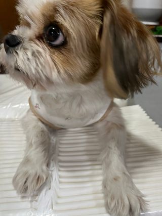 다즐링님이 올린 리뷰 사진 3