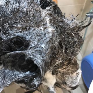 [포레스트스토리] B7 안티 헤어로스 샴푸1,000ml + 헤어팩 1,000ml — 5점을 준 리뷰어가 2021년 4월 올린 사용 사진