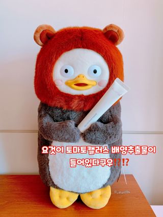 펭뽀꾸님이 올린 리뷰 사진 2