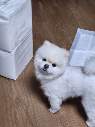 K케이님이 올린 리뷰 사진 1