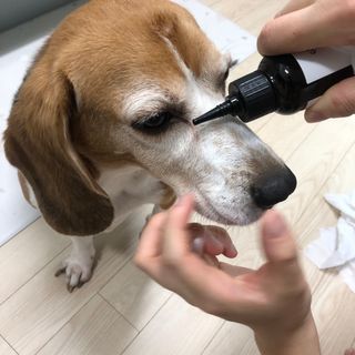 동희님이 올린 리뷰 사진 4