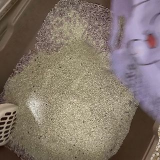 겟플렉스 켓플렉스 캣츠룸BS-1 고양이모래 4kg — 4점을 준 리뷰어가 2021년 1월 올린 사용 사진