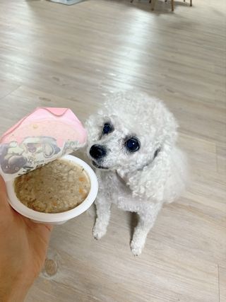 zzzbebemin님이 올린 리뷰 사진 1