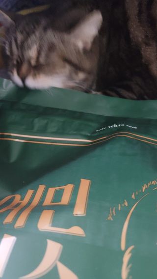 란다김님이 올린 리뷰 사진 1