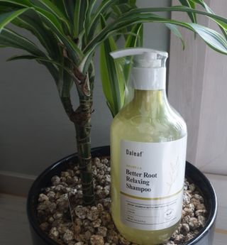 달리프 클로렐라 베러 루트 릴렉싱 샴푸 500ml — 5점을 준 리뷰어가 2021년 5월 올린 사용 사진