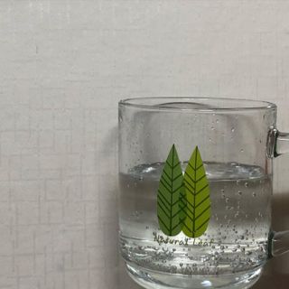 몽베스트 Montbest with Sparkling water Plain 20병 — 5점을 준 리뷰어가 2022년 6월 올린 사용 사진