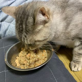 bibi1517님이 올린 리뷰 사진 4
