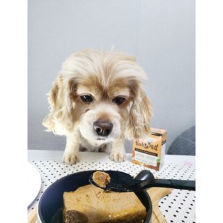 콩콩님이 올린 리뷰 사진 3