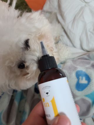꾸꾸엄마님이 올린 리뷰 사진 3