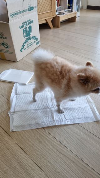 보미누나님이 올린 리뷰 사진 2