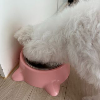 alclf3232님이 올린 리뷰 사진 1