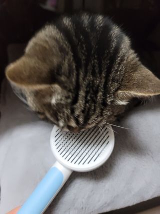 나초단맘님이 올린 리뷰 사진 4