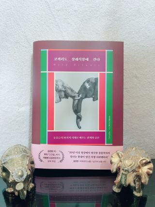 라기라기님이 올린 리뷰 사진 4