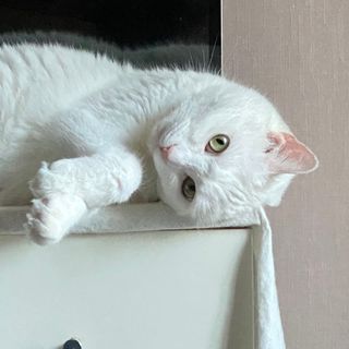 ㄹ진님이 올린 리뷰 사진 3