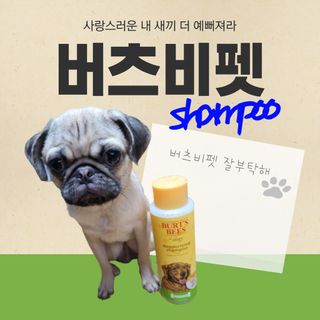 상상씨님이 올린 리뷰 사진 1