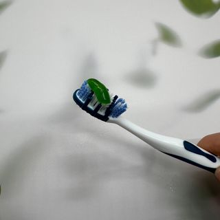 프리마인 유해균 뿐만 아니라 유익균까지 씻어내는 치약은 그만, 건강한 구강환경을 만드는 덴탈엔오 — 5점을 준 리뷰어가 2023년 3월 올린 사용 사진