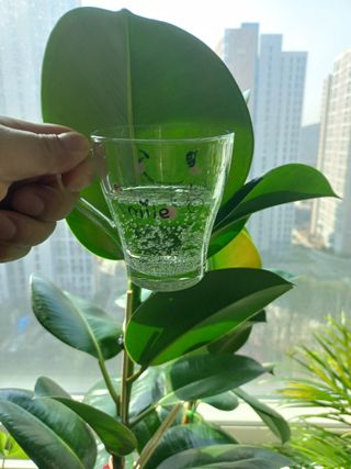 몽베스트 Montbest with Sparkling water Lime20병 — 5점을 준 리뷰어가 2023년 2월 올린 사용 사진
