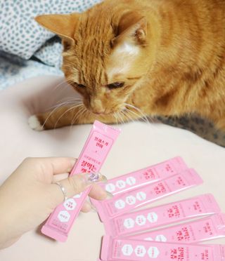 페페로니 잘 먹는 캣츄 - 알래스카 연어 24개입 — 4점을 준 리뷰어가 2021년 9월 올린 사용 사진