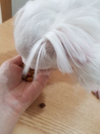 셀린님이 올린 리뷰 사진 3