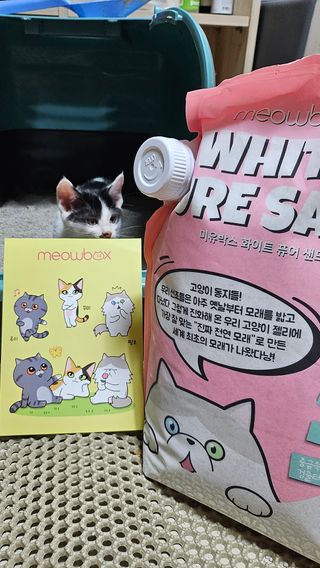 🎀딸 ♥️랑 🔆구🍭님이 올린 리뷰 사진 1