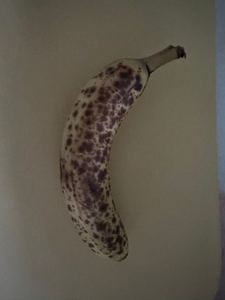 댕댕이님이 올린 리뷰 사진 1