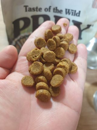 5냥2멍님이 올린 리뷰 사진 2
