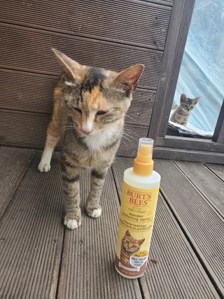 기왕이면호피치마님이 올린 리뷰 사진 4